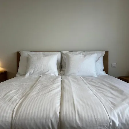 Elegant Flat With Balcony, Workspace, Garage Lejlighed
